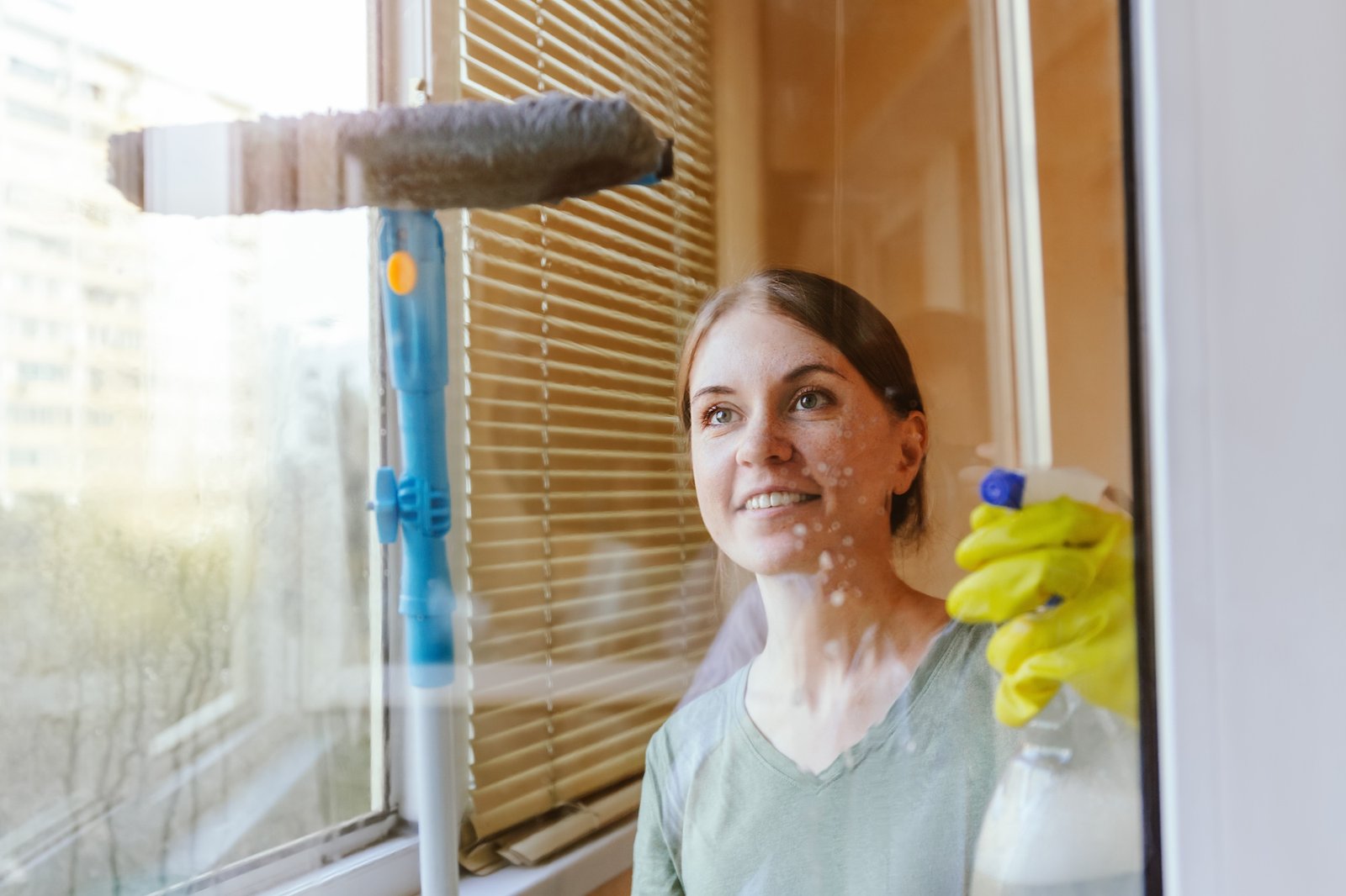House cleaning and house chores, domestic hygiene