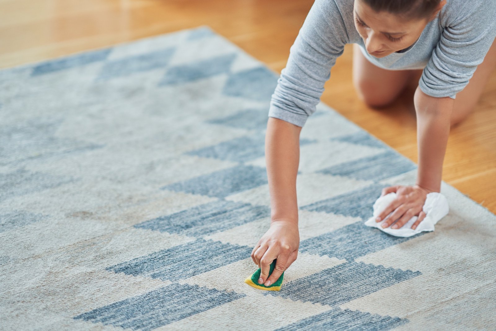 Picture of hand with sponge cleaning carpet