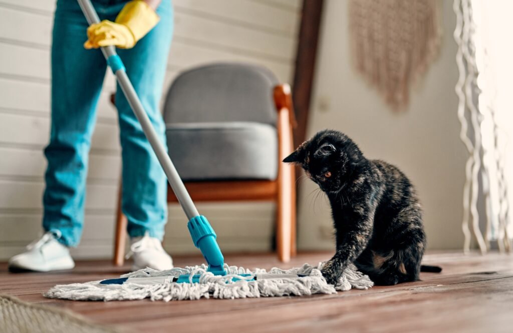 Woman doing house cleaning.
